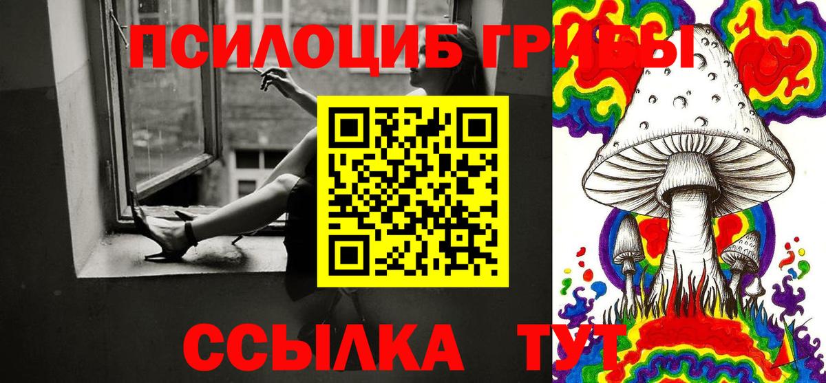 Псилоцибиновые грибы Cubensis  Псилоцибиновые грибы мухоморы  Вход с VPN  Сегежа 