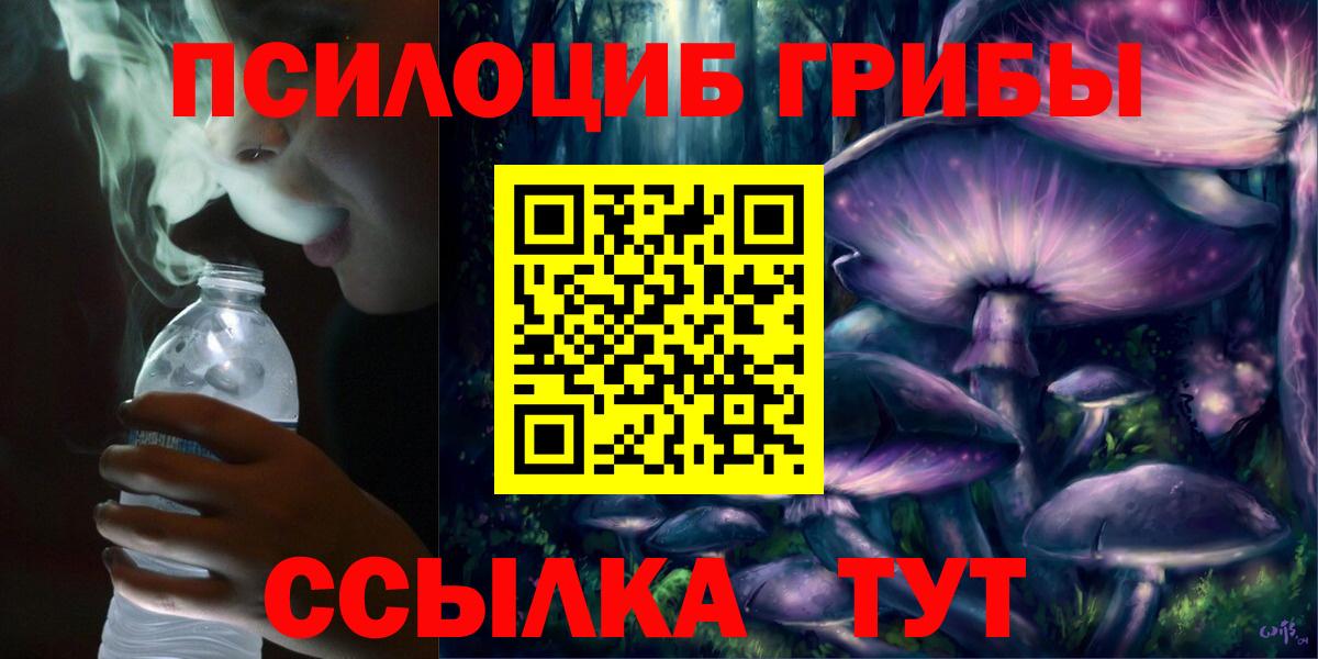 Псилоцибиновые грибы MAGIC MUSHROOMS Сегежа