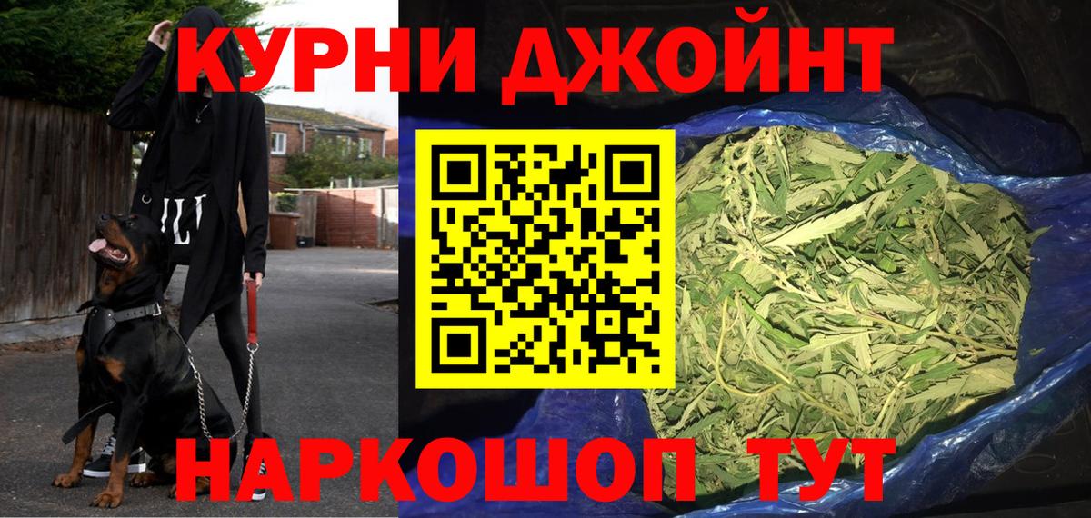 Конопля конопля Сегежа